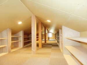 CIMG2182 (2500x1875).jpg